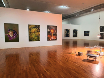 Bogskin Exhibition