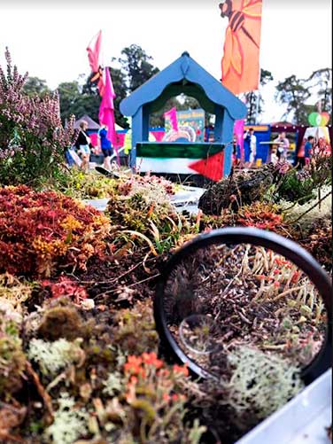 Electric Picnic
