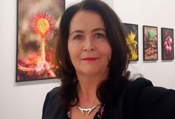 HET VEENMOERAS Exhibition