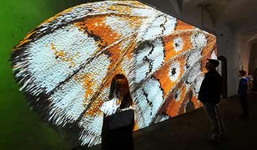 The Peatlands Exhibition - Birr Castle