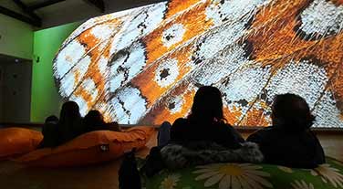 The Peatlands Exhibition -Dunamaise