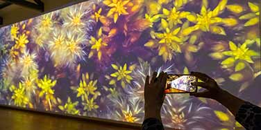 The Peatlands Exhibition -Dunamaise