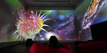 Peatlands Exhibition - IMMA