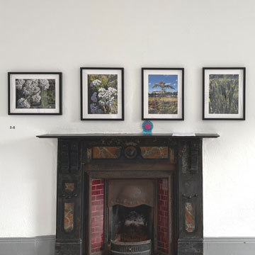Through Our Eyes Exhibition