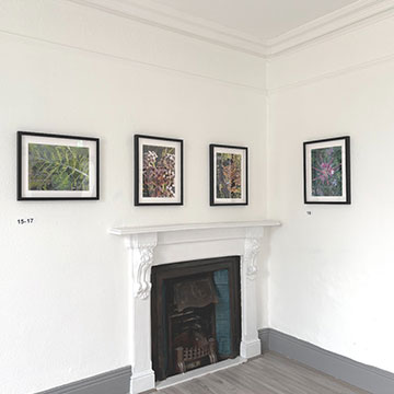 Through Our Eyes Exhibition
