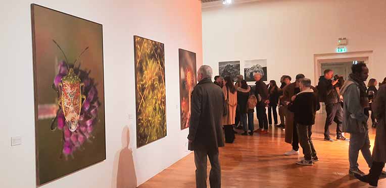Bogskin Exhibition - RHA