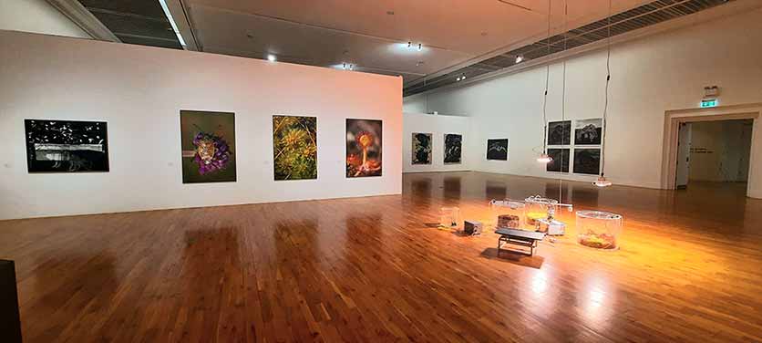 Bogskin Exhibition - RHA
