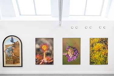 Bogskin Exhibition - Esker Arts