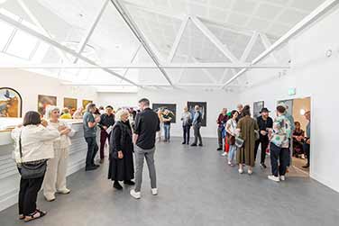 Bogskin Exhibition - Esker Arts