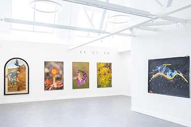 Bogskin Exhibition - Esker Arts