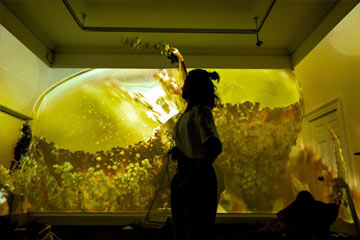 The Peatlands - Immersive Installation