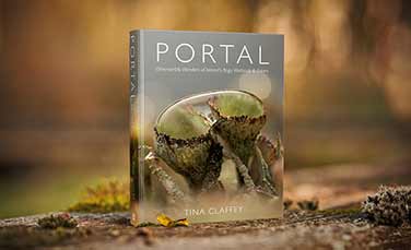 Portal Book